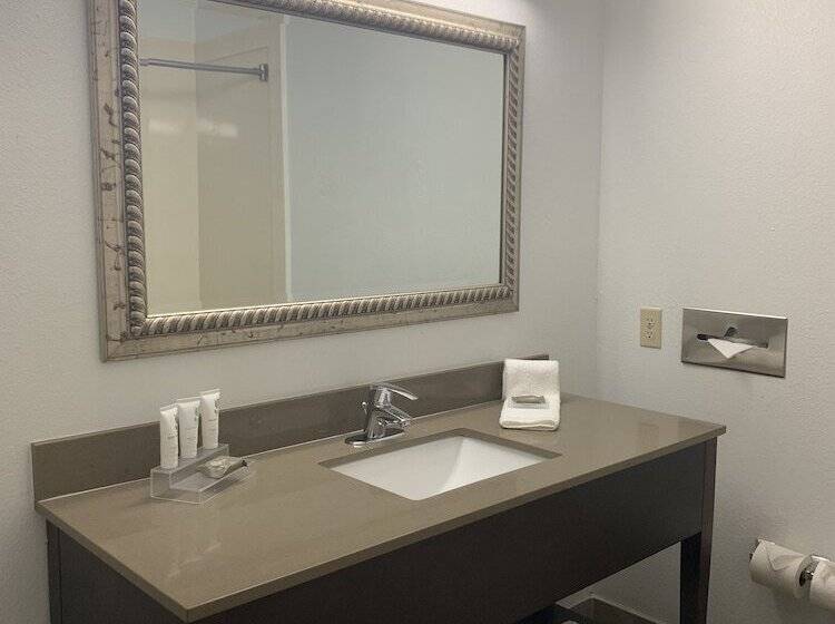 スイート, Sonesta Essential Iah Airport Jfk Boulevard