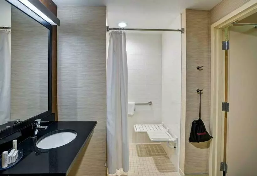キングサイズベッドのスタンダードルーム, Fairfield Inn & Suites Christiansburg