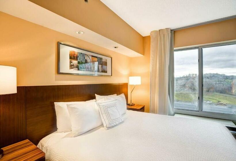 غرفة قياسية سرير كينج, Fairfield Inn & Suites Christiansburg