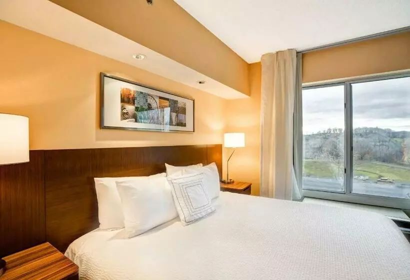 キングサイズベッドのスタンダードルーム, Fairfield Inn & Suites Christiansburg