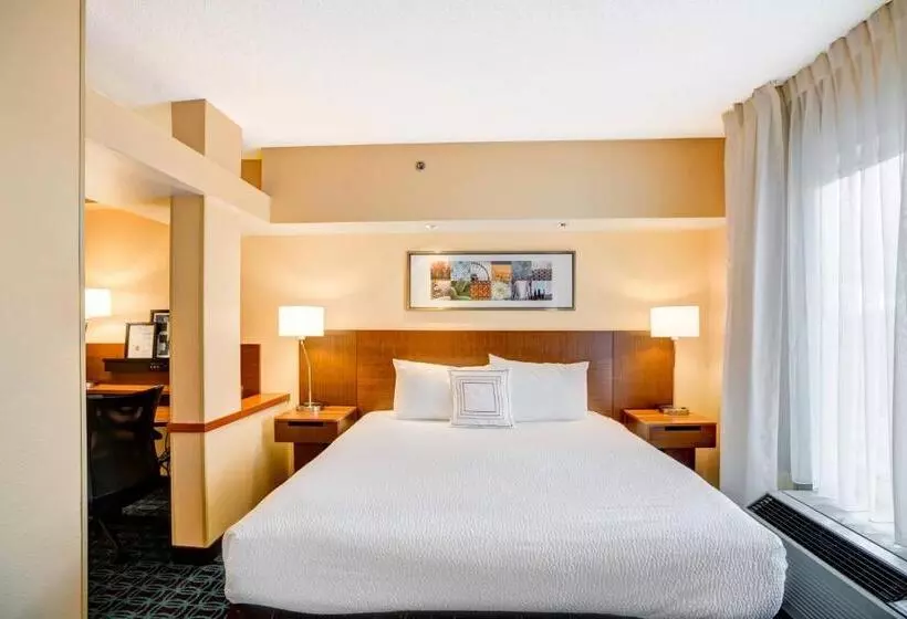 キングサイズベッドのスタンダードルーム, Fairfield Inn & Suites Christiansburg