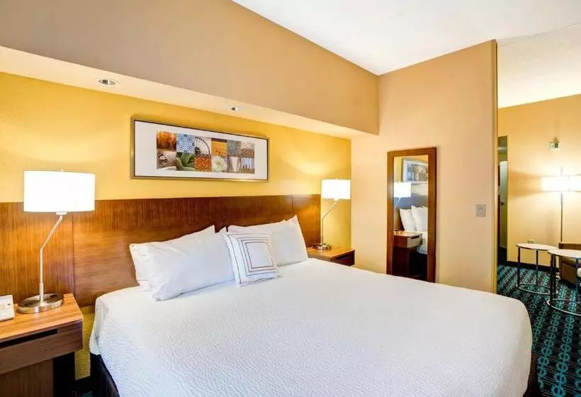 キングサイズベッドのスイートルーム, Fairfield Inn & Suites Christiansburg