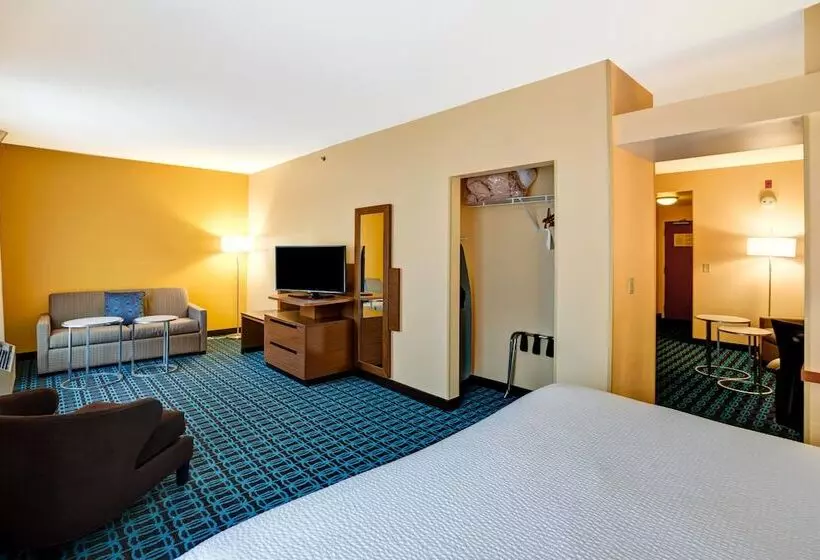プレジデントスイートルーム, Fairfield Inn & Suites Christiansburg