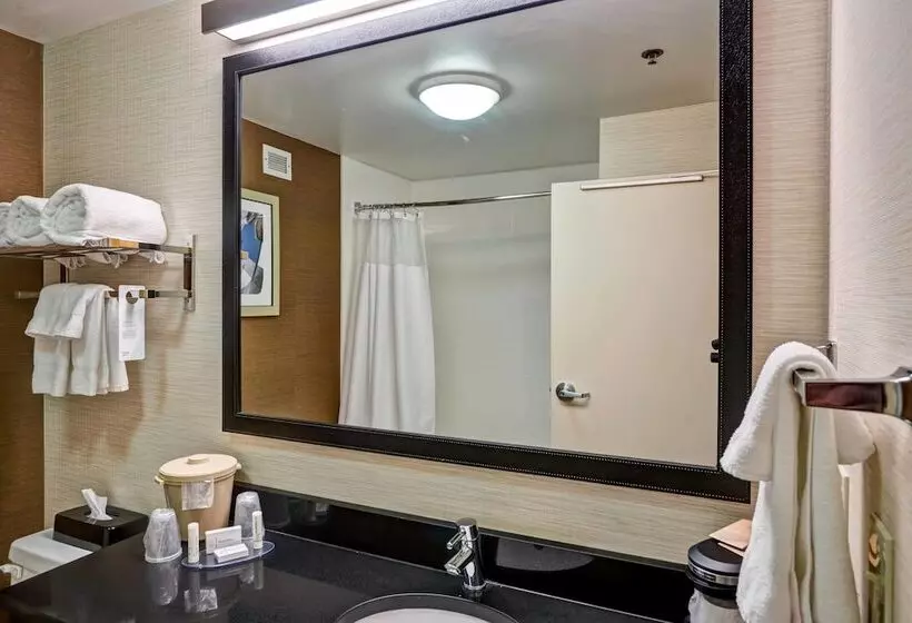 プレジデントスイートルーム, Fairfield Inn & Suites Christiansburg