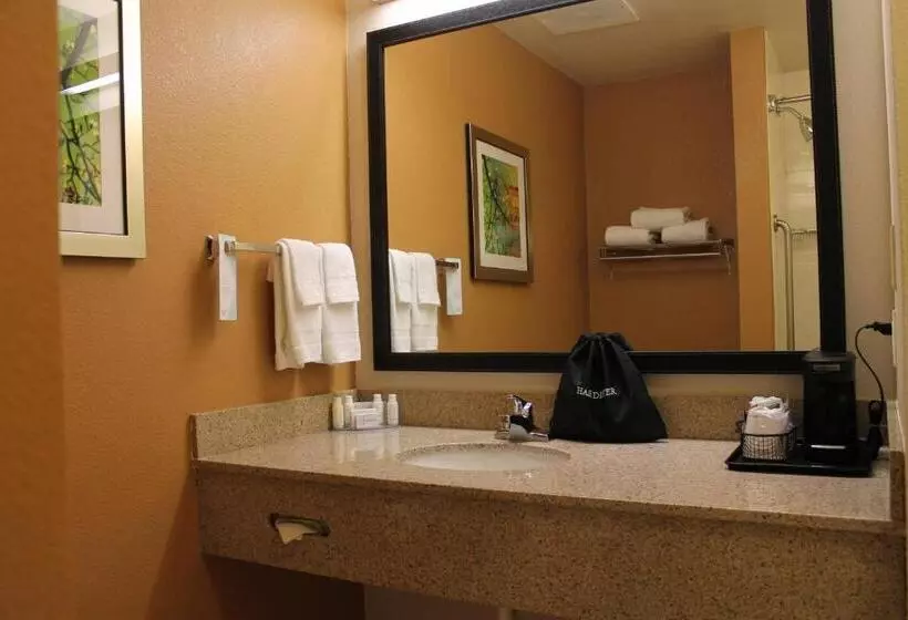 キングサイズベッドのスイートルーム, Fairfield By Marriott Frankfort