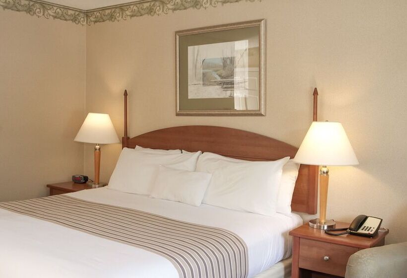 标准间, Flagship Inn