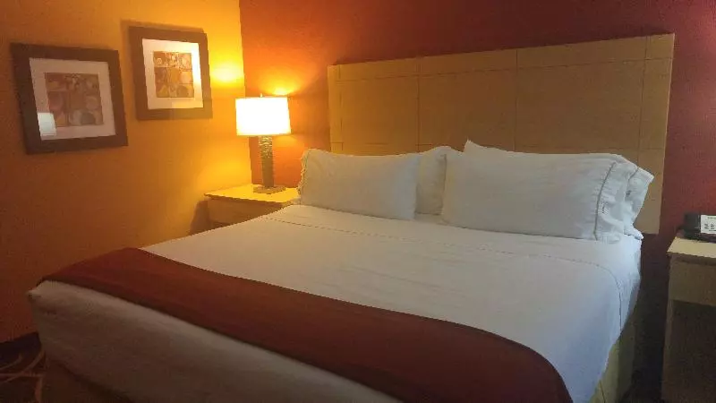 キングサイズベッドのスタンダードルーム, Holiday Inn Express   Cortland, An Ihg