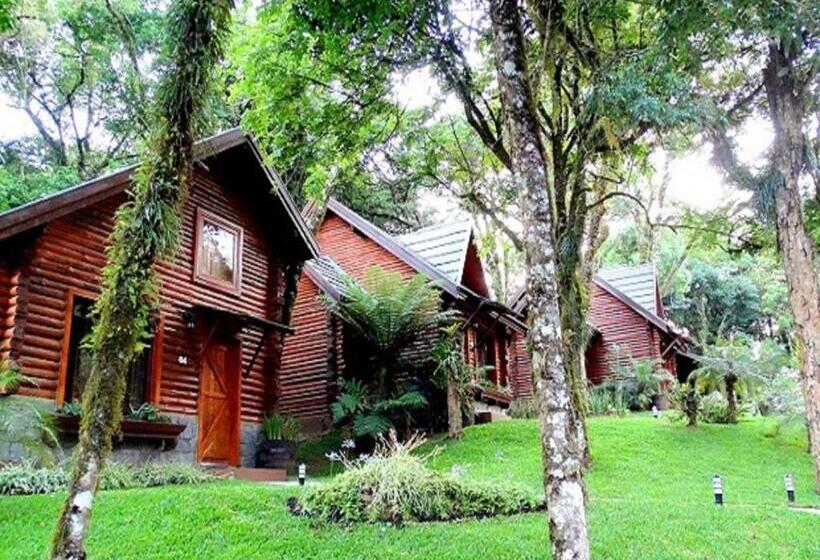 شاليه ديلوكس غرفة نوم واحدة, Pousada Sky Chales Da Montanha