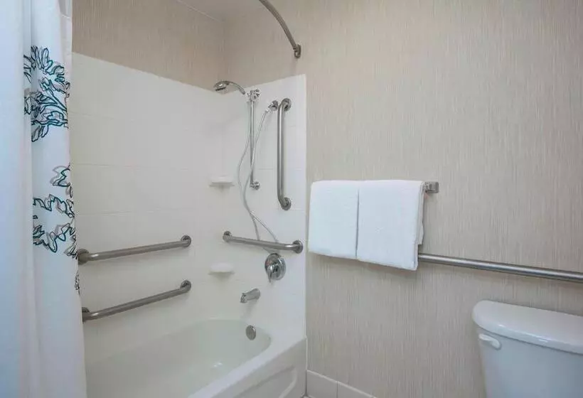 سوئیت 2 خوابه, Residence Inn Boise West