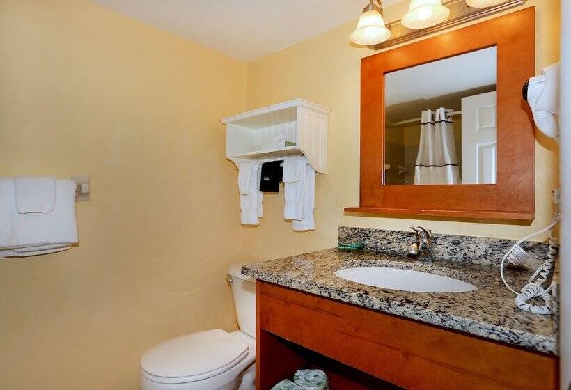 شقة غرفتين, Tropic Sun Towers