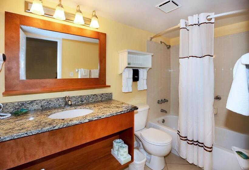 شقة غرفتين, Tropic Sun Towers