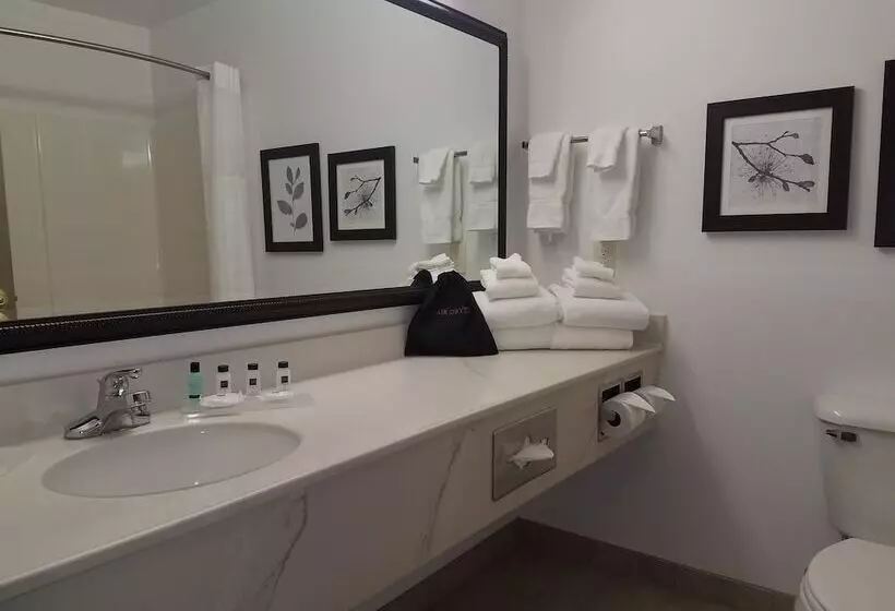 スイート, Country Inn & Suites By Radisson, Indianapolis Airport South, In