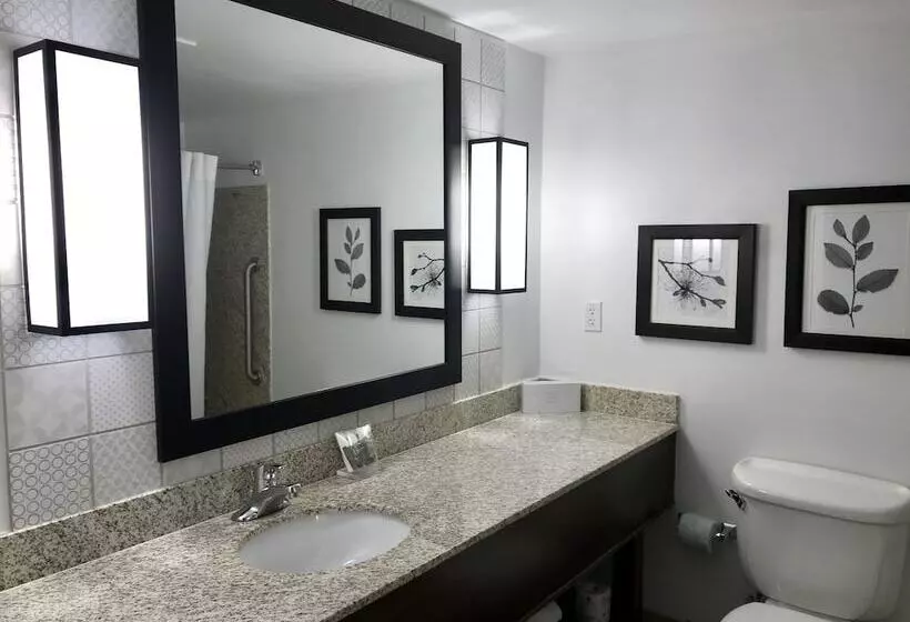 スイート, Country Inn & Suites By Radisson, Lake George Queensbury, Ny
