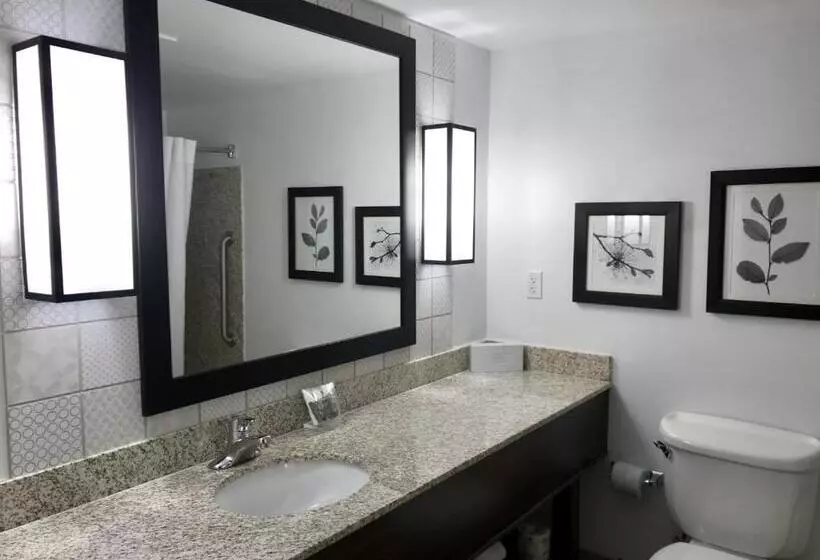 キングサイドベッドのスタンダードワンルーム, Country Inn & Suites By Radisson, Lake George Queensbury, Ny