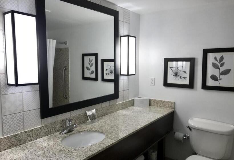 Люкс Кровать Кинг, Country Inn & Suites By Radisson, Lake George Queensbury, Ny