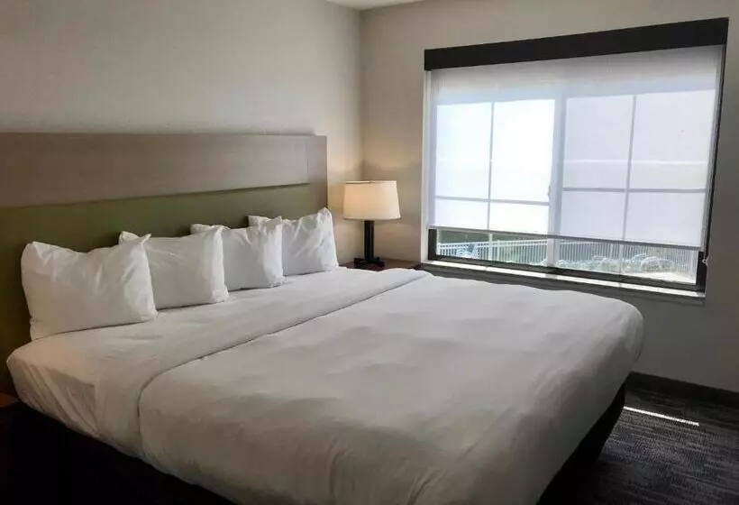 ハイドロマッサージバス付きスイート, Country Inn & Suites By Radisson, Lake George Queensbury, Ny