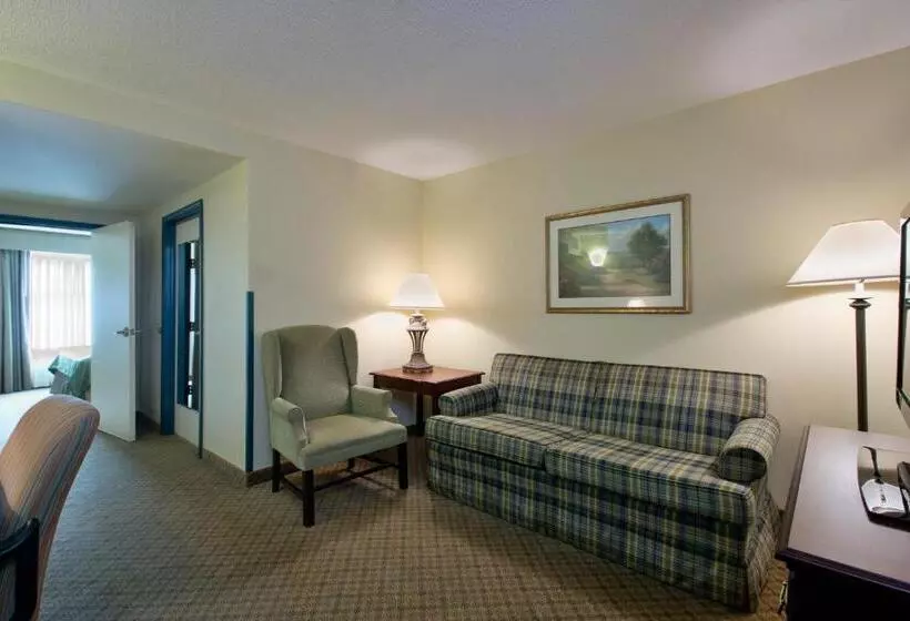 キングサイズベッドのスイートルーム, Country Inn & Suites By Radisson, Newport News South, Va