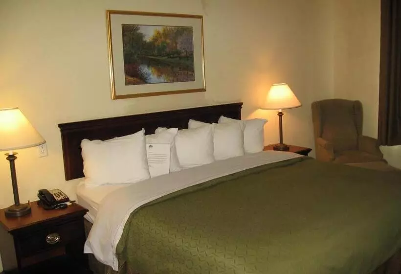 キングサイズベッドのスイートルーム, Country Inn & Suites By Radisson, Newport News South, Va