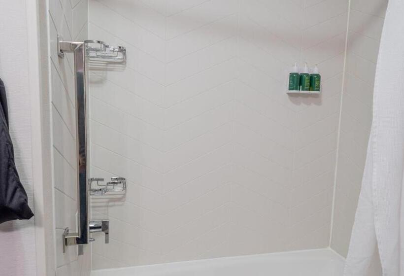 带大床的标准间, Fairfield Inn & Suites Denton