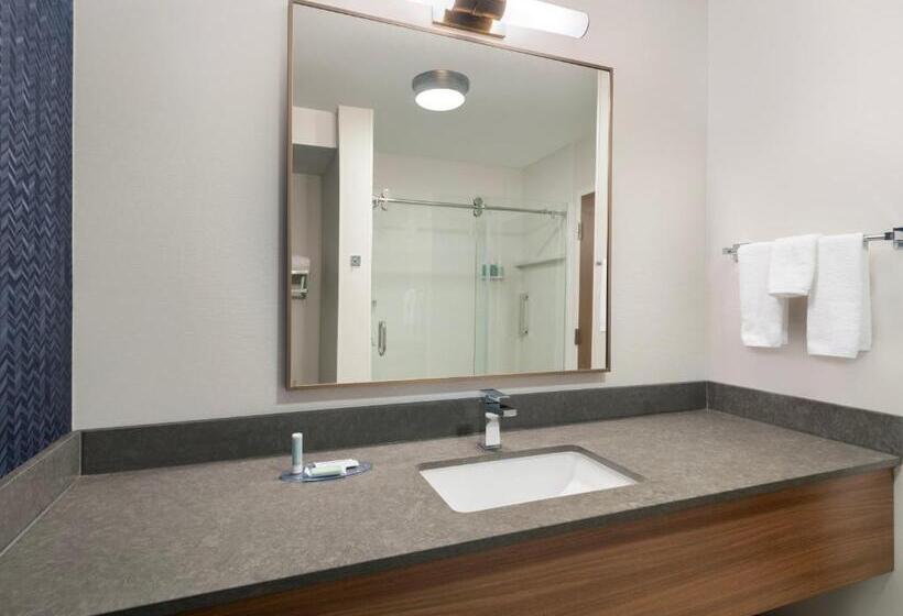 带大床的标准间, Fairfield Inn & Suites Denton