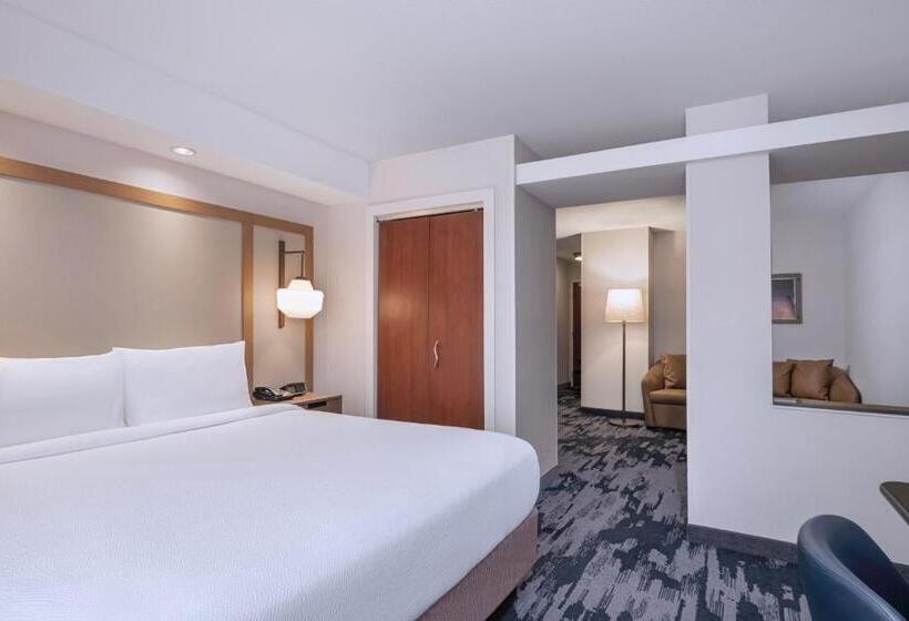 带双人大床的行政管理套房, Fairfield Inn & Suites Denton
