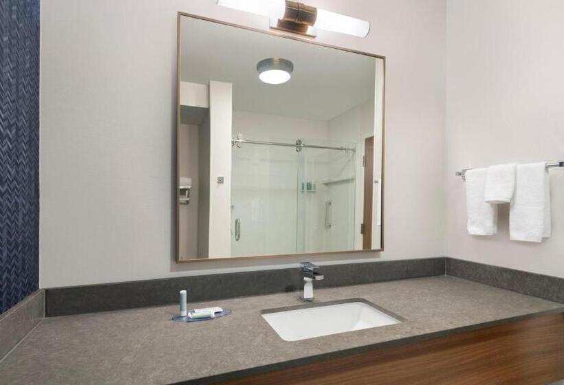 行政套房, Fairfield Inn & Suites Denton