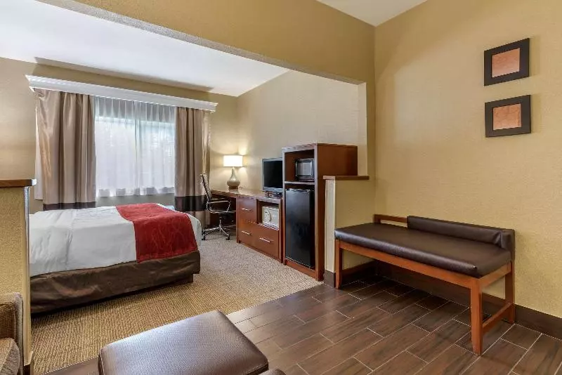 キングサイズベッドのスタンダードルーム, Fairfield Inn & Suites Denton