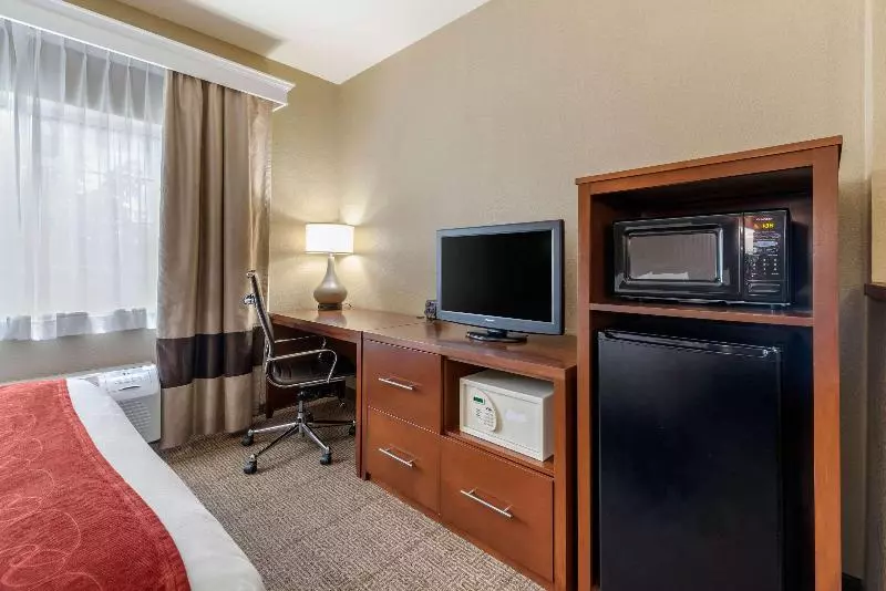 キングサイズベッドのスタンダードルーム, Fairfield Inn & Suites Denton