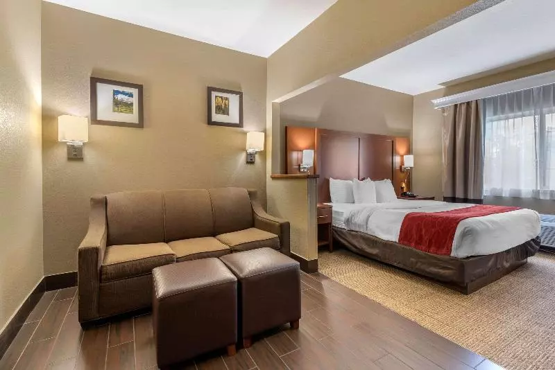 キングサイズベッドのスタンダードルーム, Fairfield Inn & Suites Denton