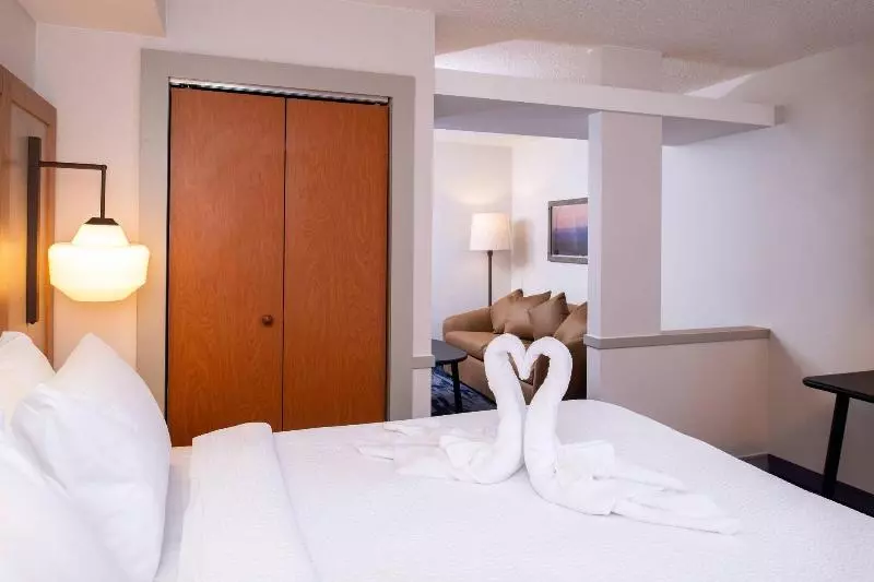 キングサイズベッドのスイートルーム, Fairfield Inn & Suites High Point Archdale