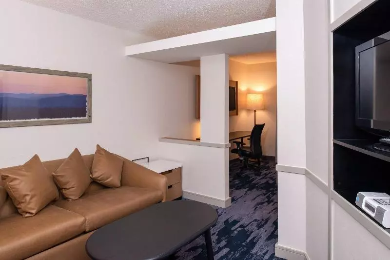 キングサイズベッドのスイートルーム, Fairfield Inn & Suites High Point Archdale