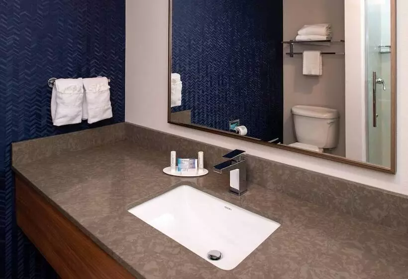２ダブルベッドのスタンダードルーム, Fairfield Inn & Suites High Point Archdale