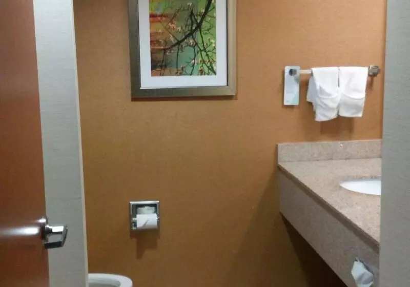 キングサイズベッドのスタンダードルーム, Fairfield Inn And Suites By Marriott Tifton