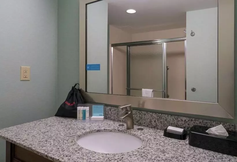 スタンダードルーム, Hampton Inn Dahlgren