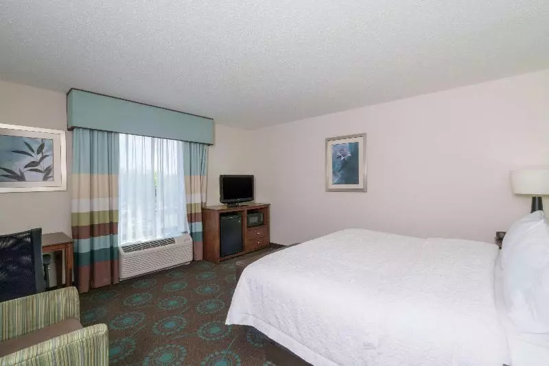 キングサイズベッドのスタンダードルーム, Hampton Inn Dahlgren