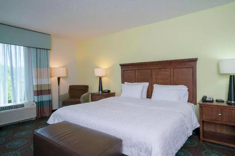 キングサイズベッドのスタンダードルーム, Hampton Inn Dahlgren