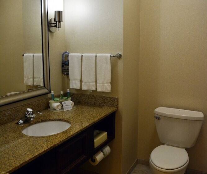 Номер Стандарт, Holiday Inn Express & Suites Youngstown West   Austintown By Ihg