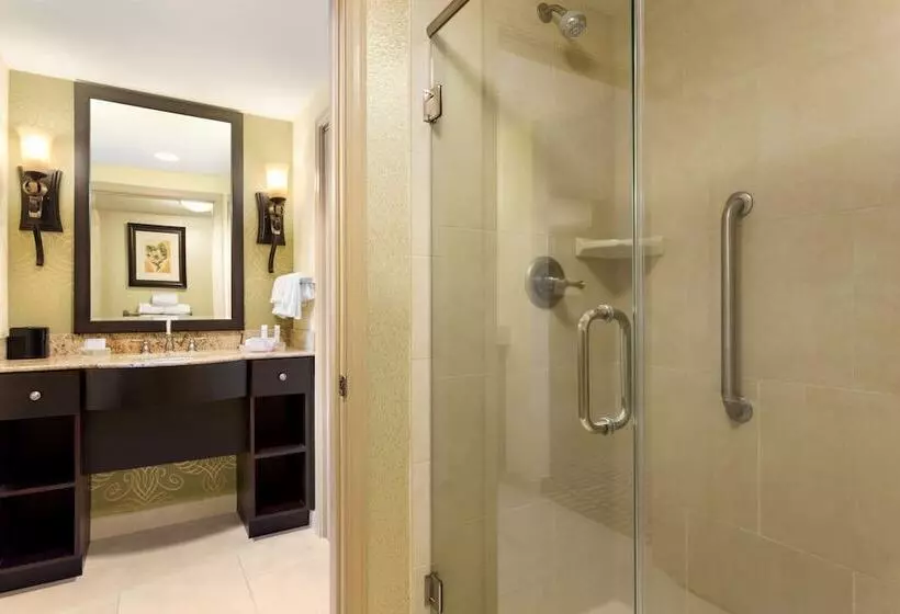 سوئیت برای معلولان, Homewood Suites By Hilton Lafayette, La