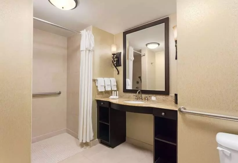 سوئیت برای معلولان, Homewood Suites By Hilton Lafayette, La