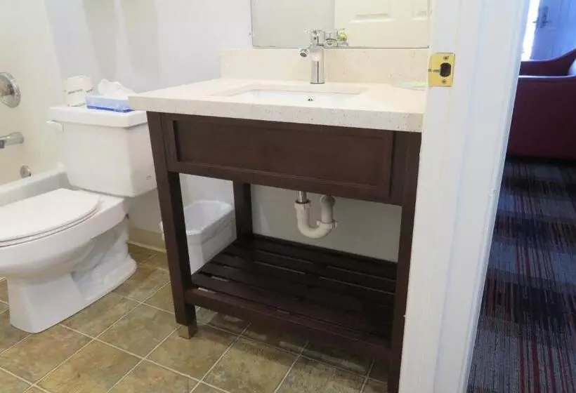 デラックススイート, Luxbury Inn & Suites