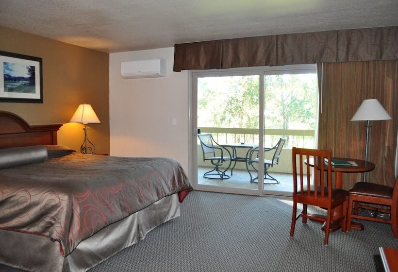 适合残疾人士使用的带超级大床的标准间, San Vicente Golf Resort