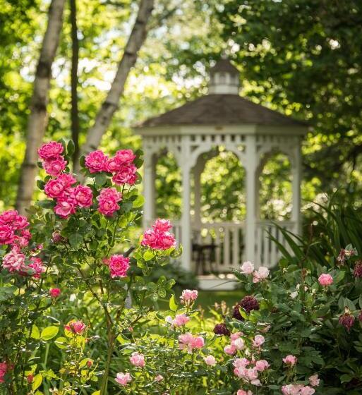 غرفة بريميوم, Inn On Putney Road