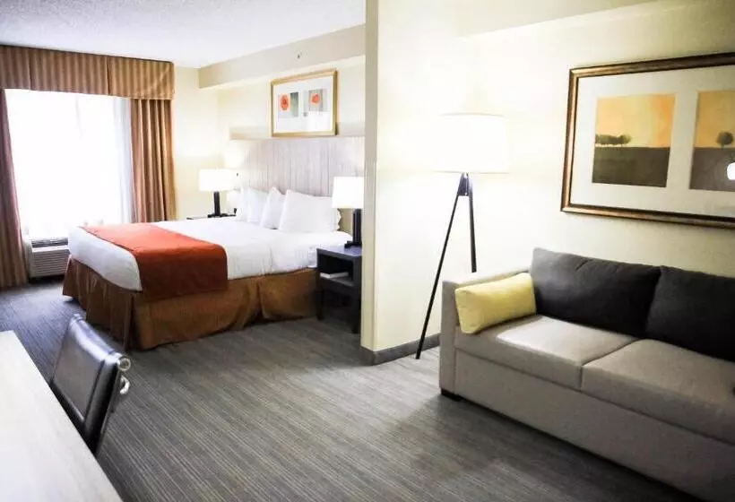 キングサイズベッドのスイートルーム, Country Inn & Suites By Radisson, Chester, Va