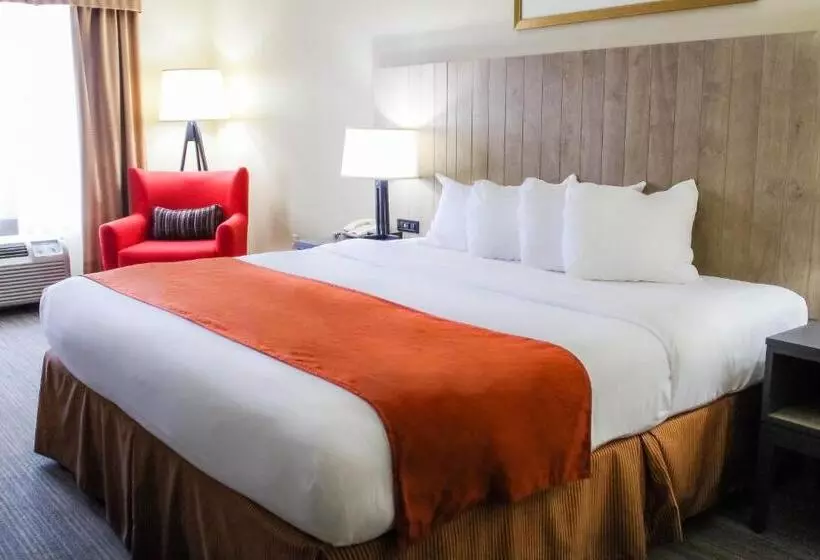 キングサイズベッドのスイートルーム, Country Inn & Suites By Radisson, Chester, Va
