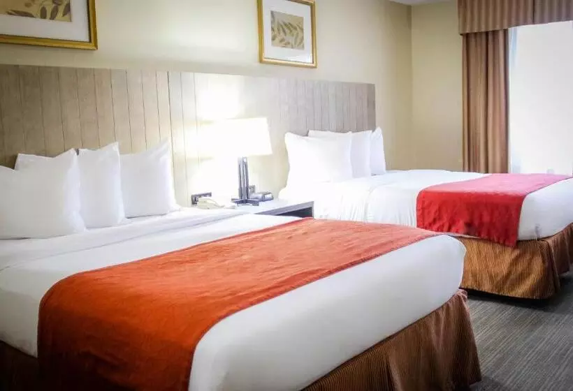 身障者適用スタンダードルーム, Country Inn & Suites By Radisson, Chester, Va