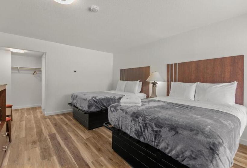 标准间, Ambassador Lake Tahoe