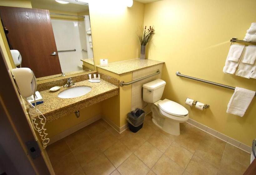 חדר סטנדרט עם מיטת קינג, Canad Inns Destination Center Grand Forks