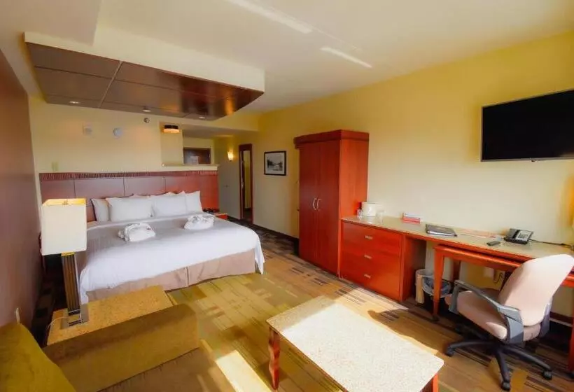 エクゼクティブシングルルーム, Canad Inns Destination Center Grand Forks