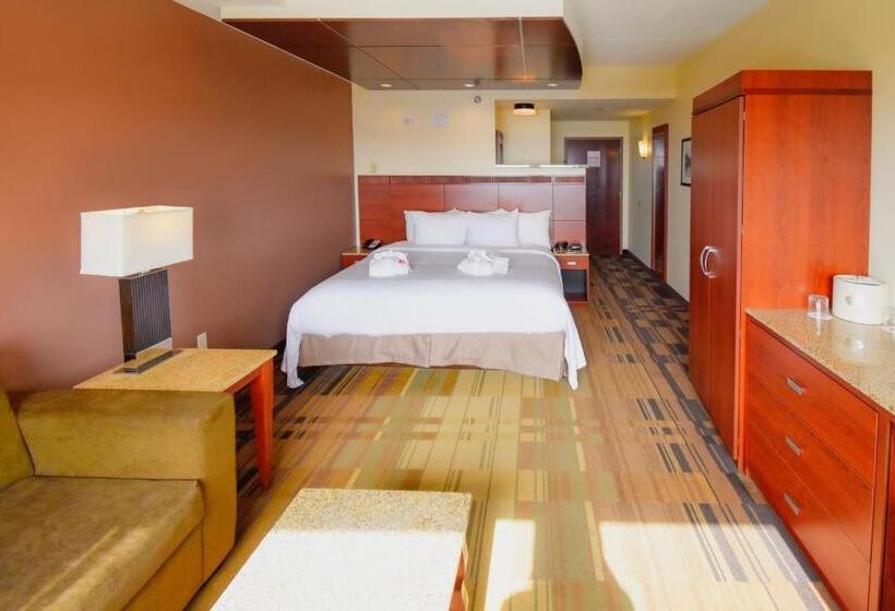 חדר אקזקיוטיב יחיד, Canad Inns Destination Center Grand Forks