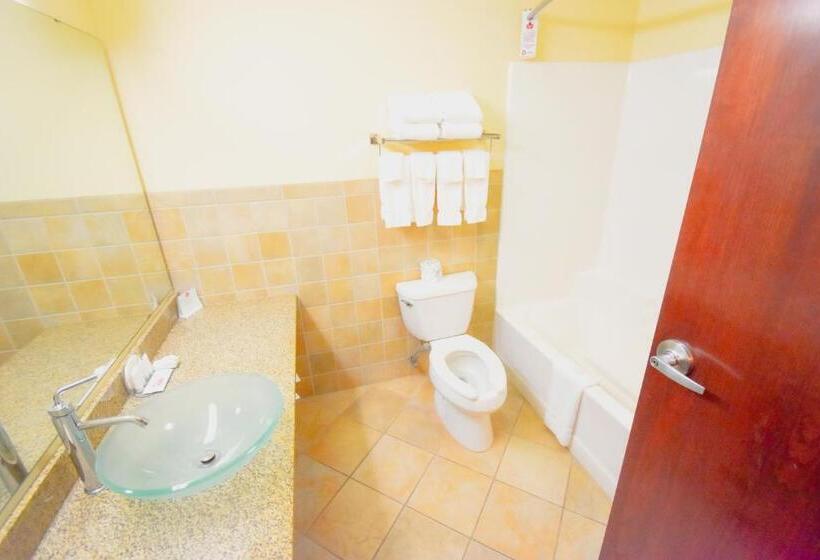 Одноместный Номер Executive, Canad Inns Destination Center Grand Forks